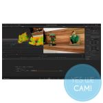 DaVinci Resolve Fusion Praxistraining günstiger Preis